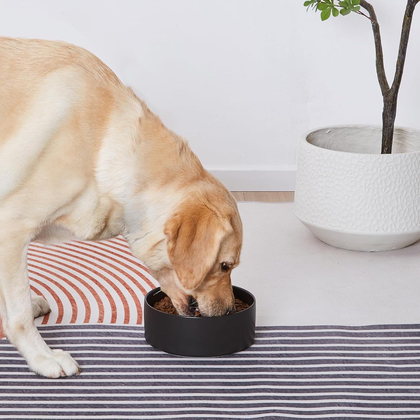 6'' Ceramic Raised Dog Bowl - 30Oz Dog Food & Water Bowl with Elevated Non-Slip Bamboo Stand, Dishwasher & Microwave Safe, Anti Vomiting Heavy Duty Pet Bowl for Small and Medium Dogs, White