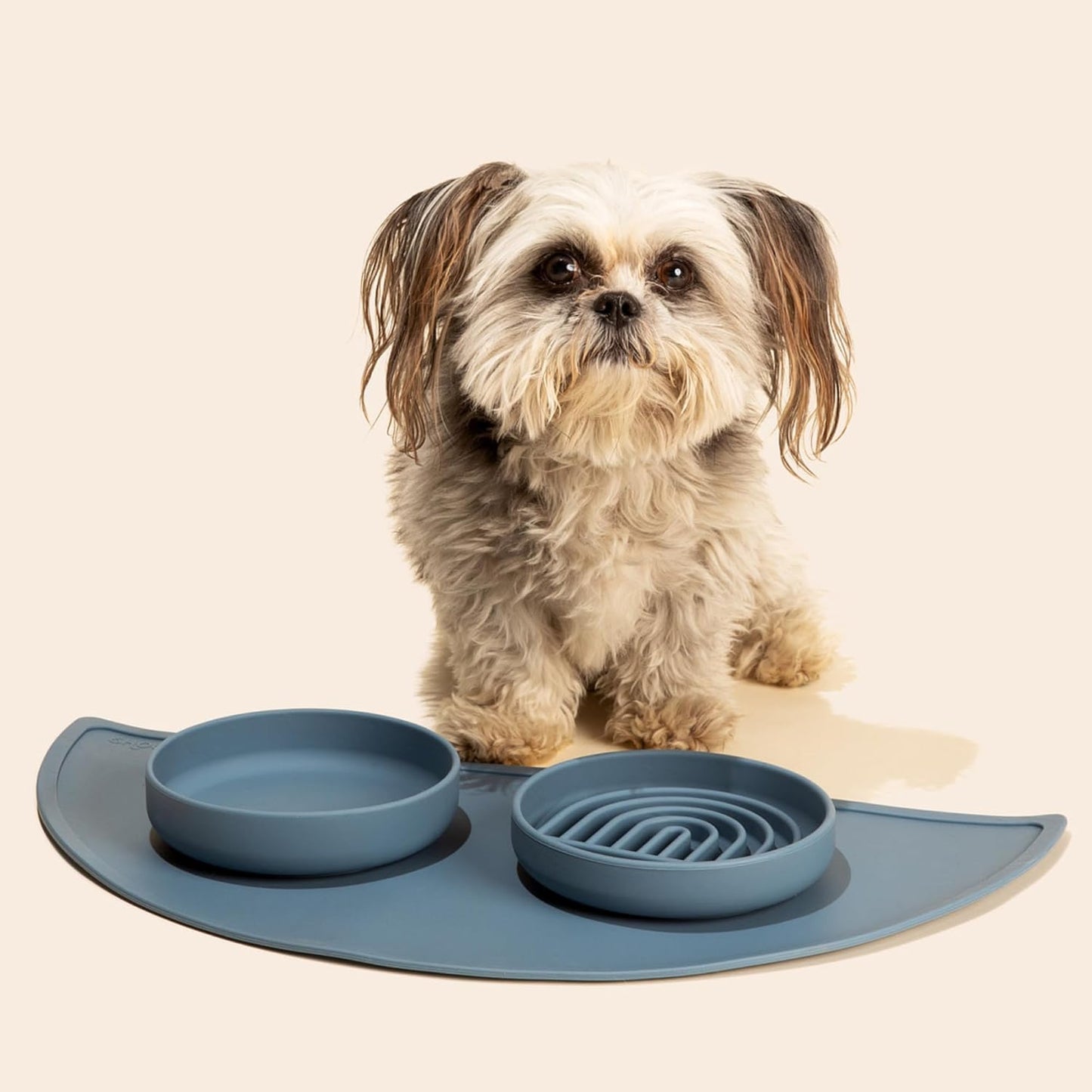 Should We Go? Slow Feeder for Dogs & Puppies, The Slowdown Bowl Silicone Slow Eating, Modern Lick Mat Design, Reduces Gulping, Fits 2 Cups, 7.5” Across x 1.5” Tall, Mealtime Challenge, Medium-Blush