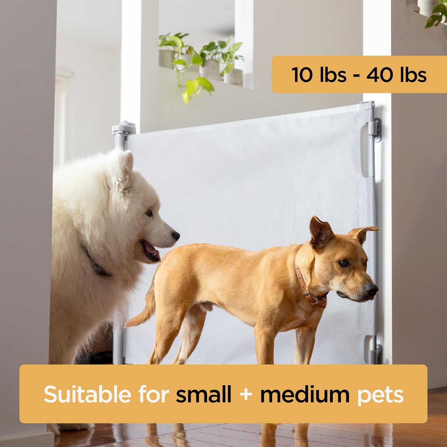 Hakuna Pets Indoor/Outdoor Paw Proof Retractable Dog Gate, 36.6" Tall Extends to 71" Wide, Black