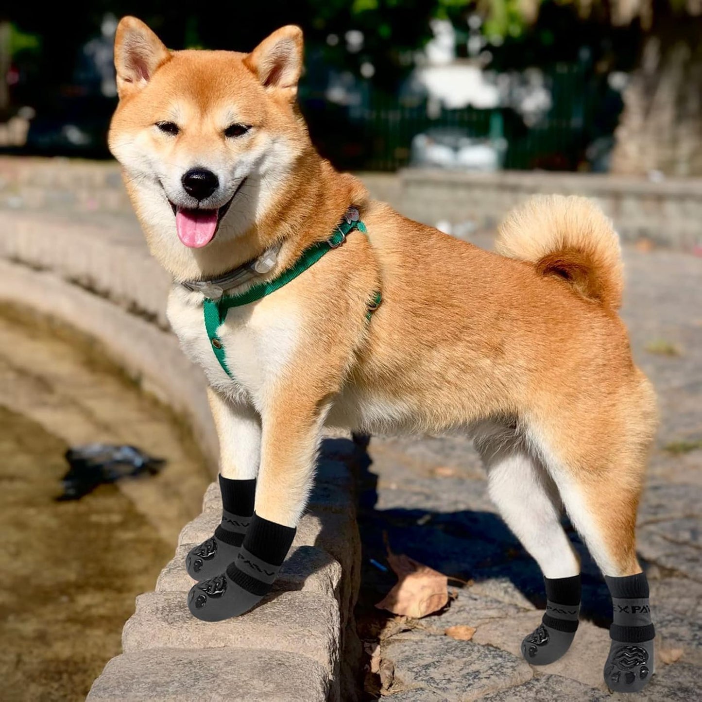 EXPAWLORER 6Pcs Anti-Slip Dog Socks to Prevent Licking Paws,Dog Shoes for Hot Pavement,Dog Booties Traction Control on Hardwood Floor,Boots & Paw Protectors, for Puppy Small Medium Large Senior Dogs