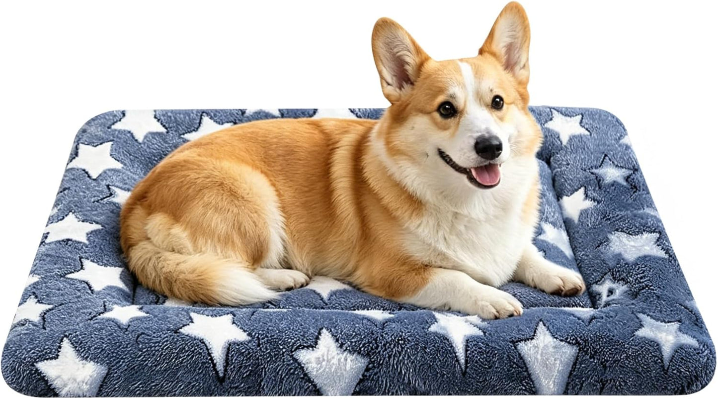 Dog Bed Mat, Reversible Crate Pad & Cute Dog Bed - Machine Washable Kennel Mat with Ultra Soft for Small Dogs (Cool/Warm), 24" x 18", Grey&Star