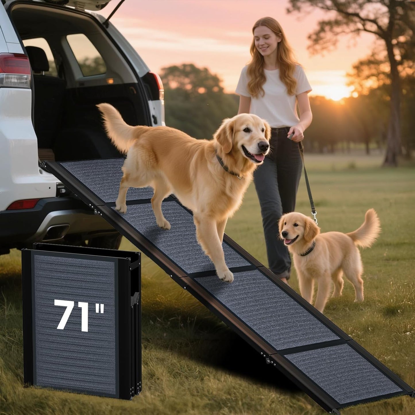 HBTower 63" Long x 17.3" Wide Folding Dog Ramp for Large Dogs Up to 250lbs - Portable Pet Ramp with Non-Slip Surface, Extra Wide Dog Car Ramps for Car, SUV, Truck & High Beds