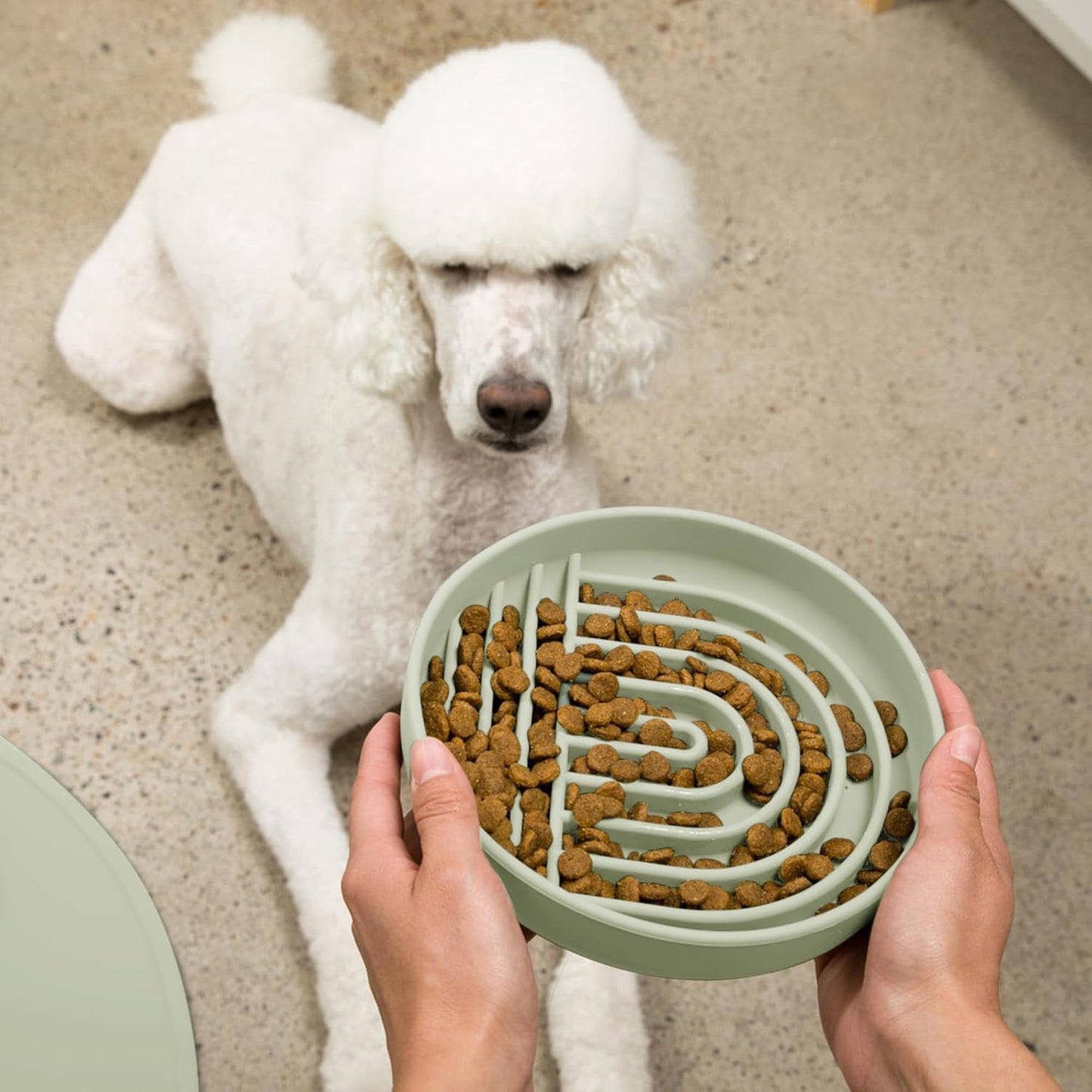 Should We Go? Slow Feeder for Dogs & Puppies, The Slowdown Bowl Silicone Slow Eating, Modern Lick Mat Design, Reduces Gulping, Fits 2 Cups, 7.5” Across x 1.5” Tall, Mealtime Challenge, Medium-Blush