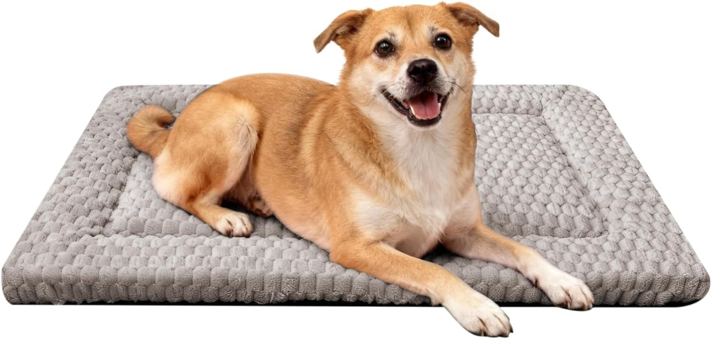 Dog Bed Mat, Reversible Crate Pad & Cute Dog Bed - Machine Washable Kennel Mat with Ultra Soft for Small Dogs (Cool/Warm), 24" x 18", Grey&Star