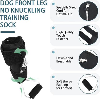 Dog Knuckling Brace, Dog Toe Grips for ACL Injury, Hock Fracture, Arthritis & Meniscus Tears, Rear Legs, L