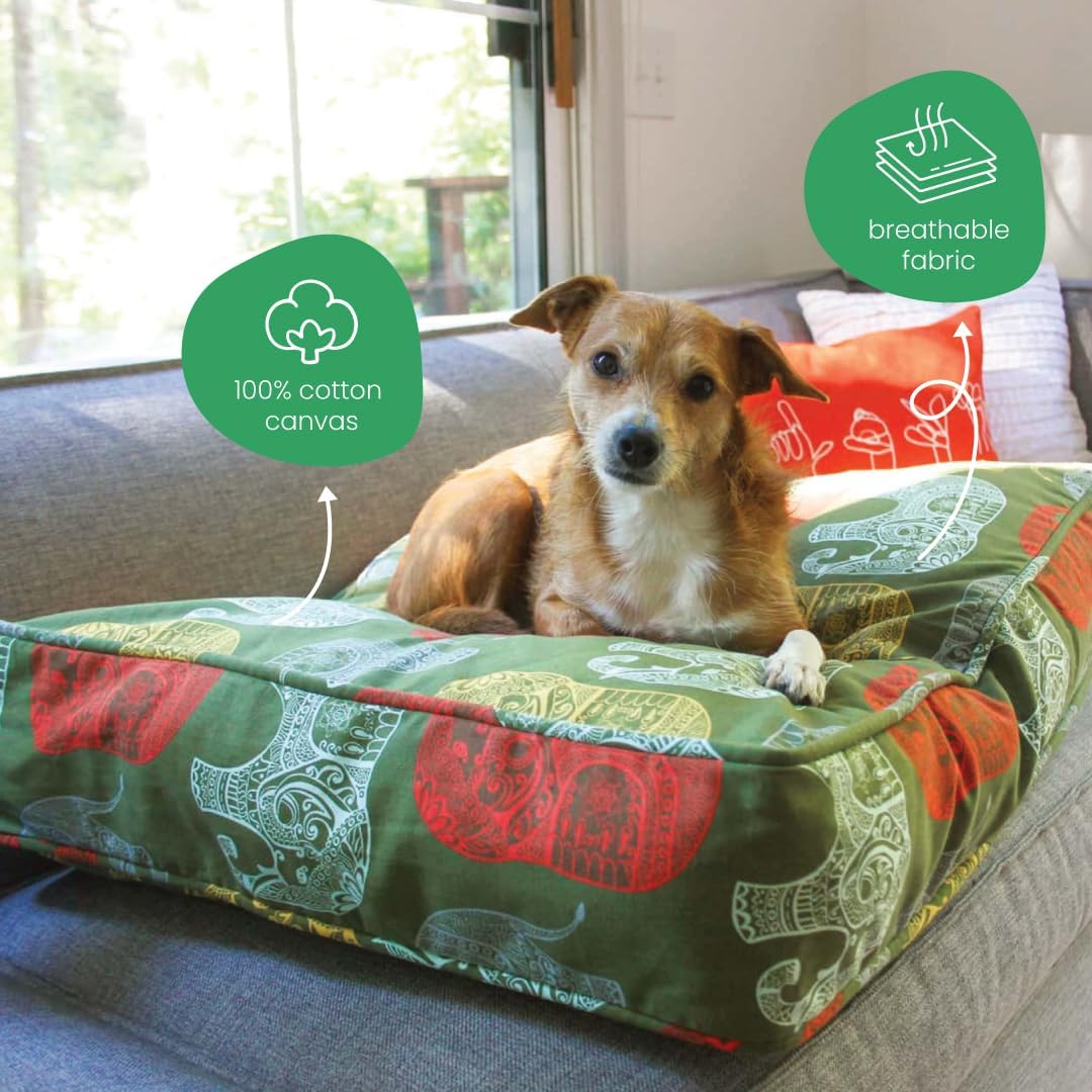 Molly Mutt Medium to Large Dog Bed Cover- Forever Young Print - Measures 27”X36”X5’’ - 100% Cotton - Durable - Breathable - Sustainable - Machine Washable Dog Bed Cover (Dd82b)