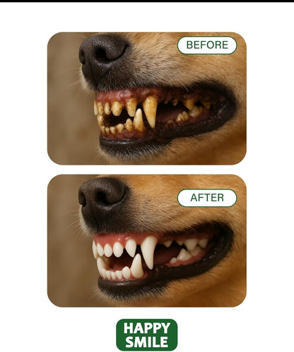 Happy Smile Dog Toothbrush 360° – Soft Silicone Finger Toothbrush for Dogs & Cats, Gentle Teeth Cleaning, BPA-Free, 2-Pack (Blue & Green)