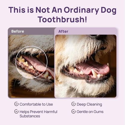 HICC PET Toothbrush for Cats & Small Dogs, Vet-Recommended Ergonomic Pet Toothbrush for Easy Teeth Cleaning, Gentle on Gums, Cat & Dog Dental Care, Improves Oral Hygiene. Toothpaste Not Included
