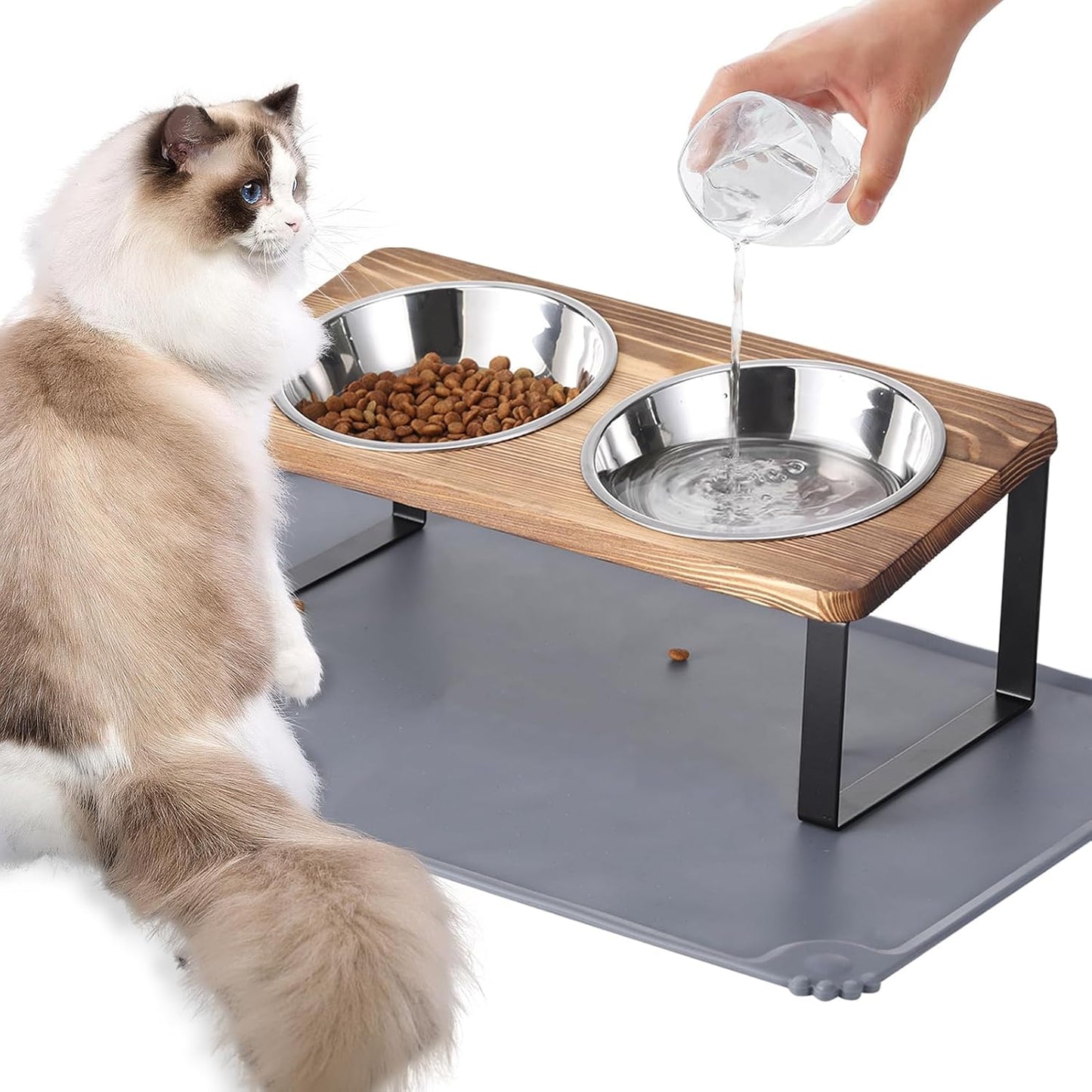 Upgraded Elevated Cat Bowls with Food Mat,15°Tilted Stand Anti Vomiting Raised Cat Dishes for Food and Water,2 Stainless Steel Bowls for Cats and Puppy