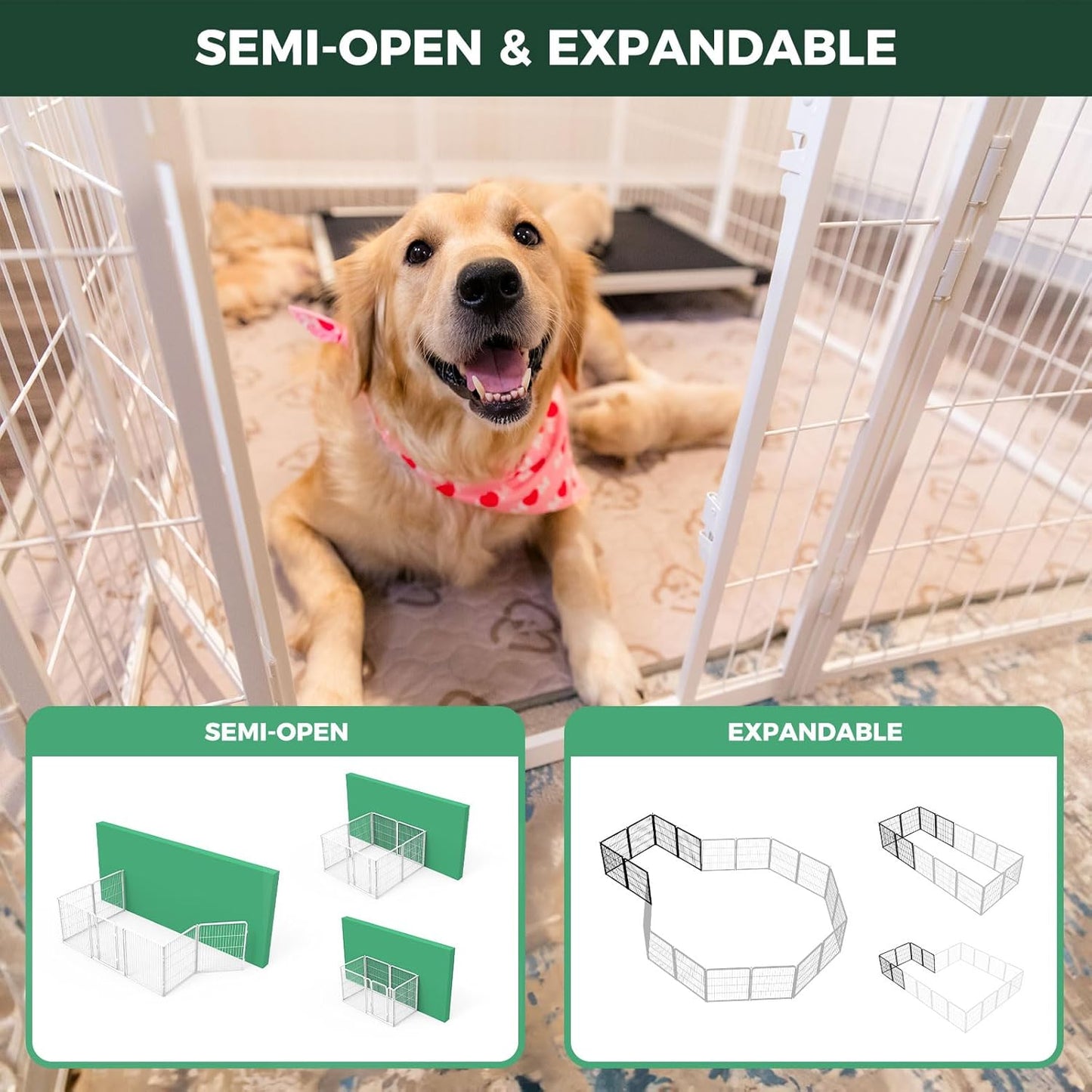 FXW Homeplus Unleashed Indoor Dog Playpen - Stress-Free and Safe Play, Heavy Duty 24 Inch 6 Panels Dog Pen for Puppy and Small Dogs, Black│Patented
