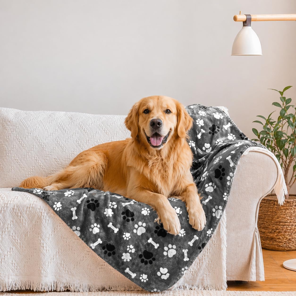 Waterproof Dog Blanket, Pattern Printing Super Soft Warm Fluffy Facecloth Sofa Car Bed Protector, Urine Proof Washable Outdoor Pet Blanket for Puppy Large Dogs & Cats(paw & Bone80*60)