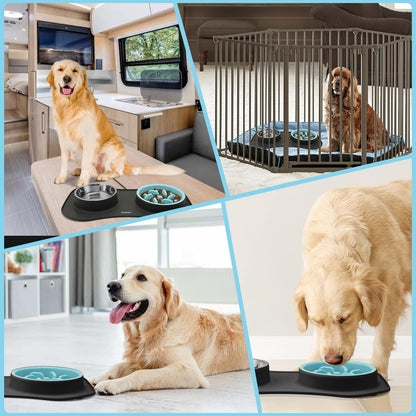Anipaw Slow Feeder Dog Bowls 3 in 1 Stainless Steel Food and Water Bowls with Non-Spill and Skid Silicone Mat to Slow Down Eating for Large Medium Small Breed Size Dogs and Cats