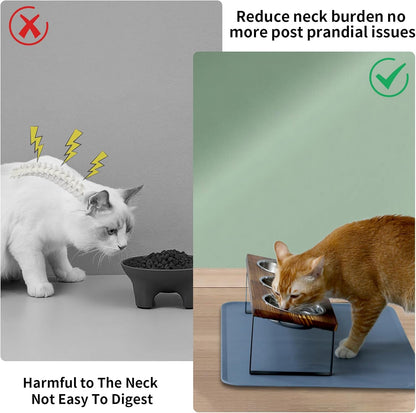 Upgraded Elevated Cat Bowls with Food Mat,15°Tilted Stand Anti Vomiting Raised Cat Dishes for Food and Water,2 Stainless Steel Bowls for Cats and Puppy