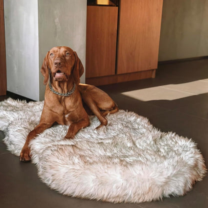 IHAPPYDOG Luxury Faux Fur Orthopedic Dog Bed, Memory Foam Dog Bed for Small, Medium, Large and XL Pets, Fluffy Pet Bed with Waterproof and Washable Cover (White w/Brown Tips, 50"x30")