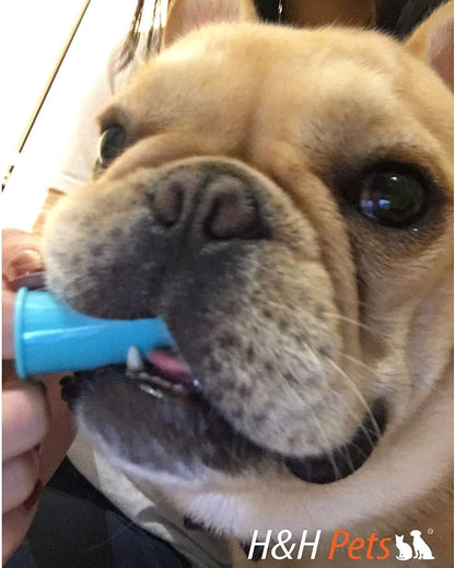 H&H Pets Dog Finger Toothbrushes - Professional Pet Finger Dental Brush Set for Dogs Puppies Cats, Soft Bristles, Size Small 4 Count-Silicon