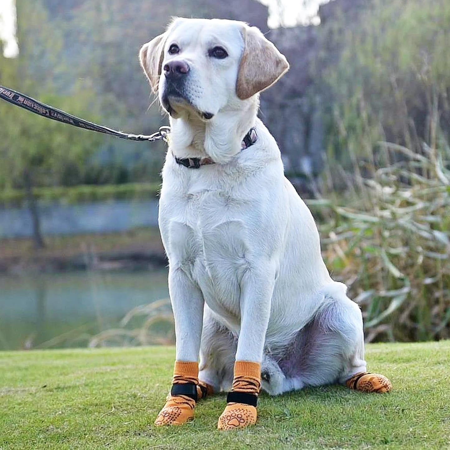 KOOLTAIL Dog Socks Shoes for Hot Pavement to Prevent Licking Paws, Winter Dog Boots&Paw Protector for Hardwood Floors Anti Slip,Traction Control Grip Booties for Small Medium Large Senior Dogs,Black M