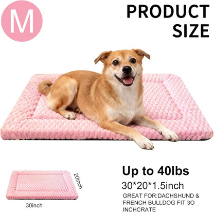 Dog Bed Mat, Reversible Crate Pad & Cute Dog Bed - Machine Washable Kennel Mat with Ultra Soft for Small Dogs (Cool/Warm), 24" x 18", Grey&Star