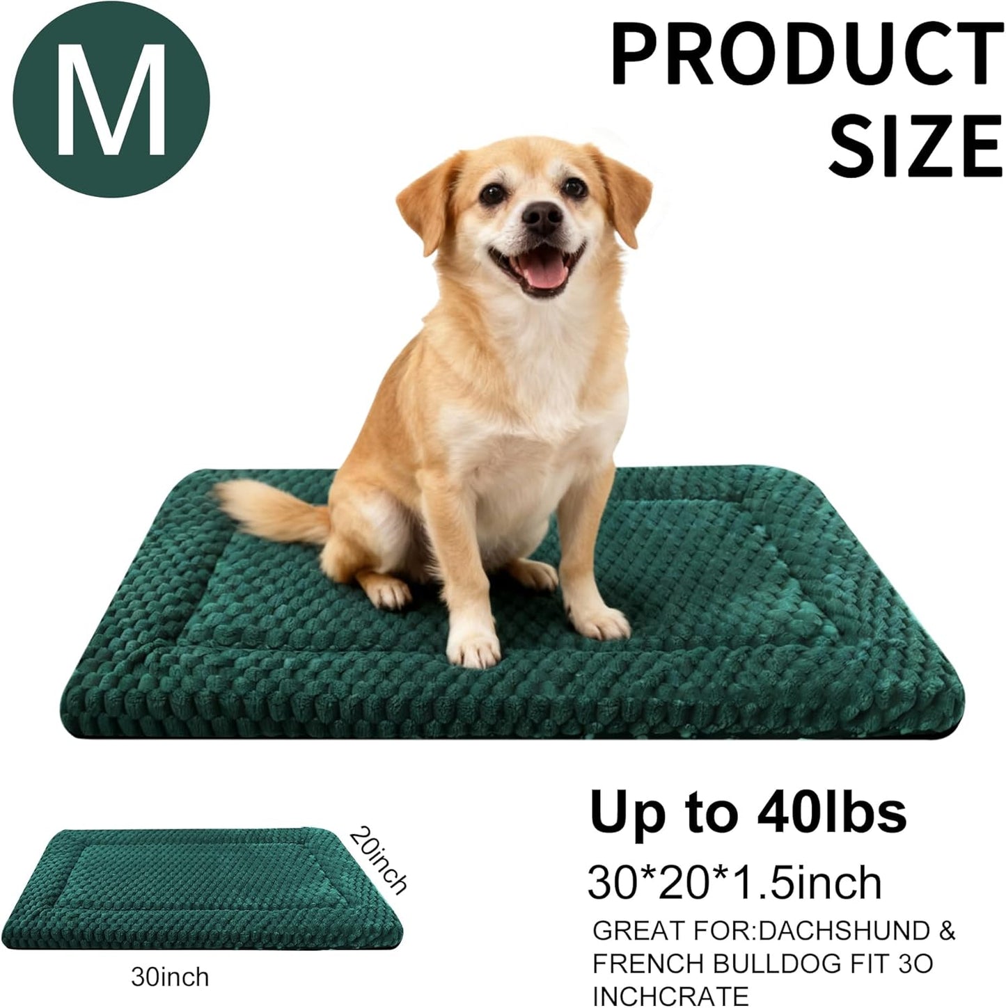 Dog Bed Mat, Reversible Crate Pad & Cute Dog Bed - Machine Washable Kennel Mat with Ultra Soft for Small Dogs (Cool/Warm), 24" x 18", Grey&Star