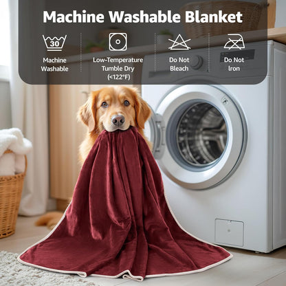 LOOBANI Waterproof Blanket for Bed: Reversible Soft Flannel Twin Bed Blanket 60" x 80", Leakproof Throw Spill-Proof Dog Pet Blanket for Couch Cover, Movie Time, Camping, Travel, Grey