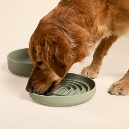 Should We Go? Slow Feeder for Dogs & Puppies, The Slowdown Bowl Silicone Slow Eating, Modern Lick Mat Design, Reduces Gulping, Fits 2 Cups, 7.5” Across x 1.5” Tall, Mealtime Challenge, Medium-Blush
