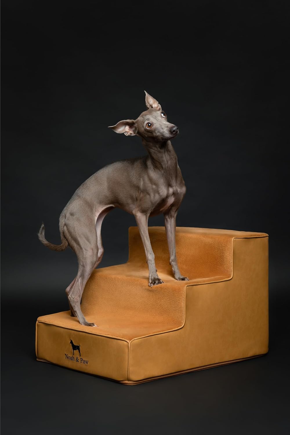 Noah & Paw Dog Stairs, Dog Ramp for Bed (20" Extra Wide) Pet Stairs for High Bed, Design to Fit Small and Large Breeds, Durable 5 Pet Steps for Couch (35 Foam Density) Leather Collection