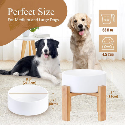 Elevated Ceramic Cat Bowl - Cat Food Bowl with Bamboo Stand - Raised Dog Dish for Puppies - Anti Vomiting, Stress Free - 13.5 oz / 400 ml - White