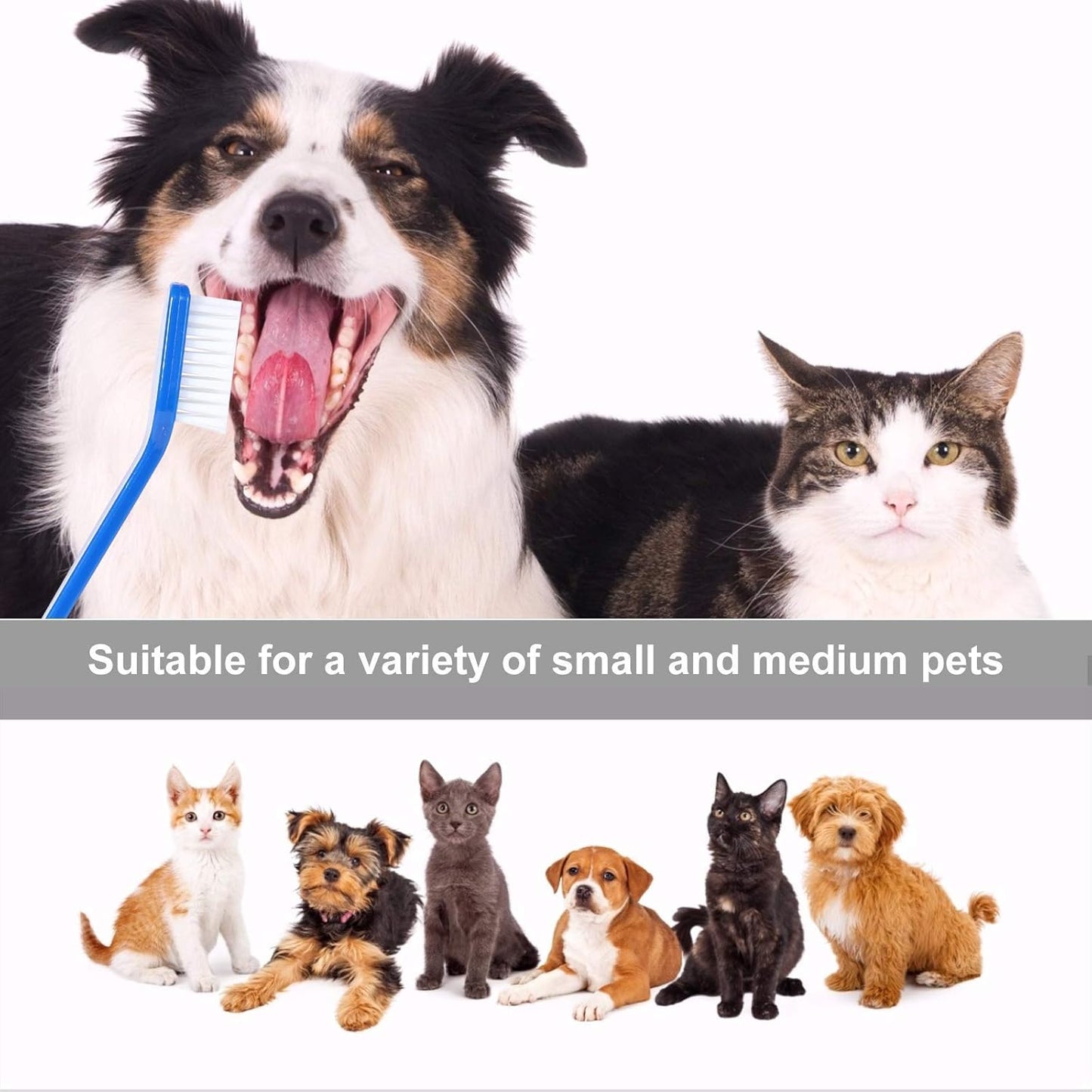 Newday 50 Pack Dual Ended Long Dog & Cat Toothbrush, Pet Safe Super Soft Bristles for Pet Dog Puppy Kitten Dental & Oral Care Teeth & Gums, Pet toothbrushes in Box, Bulk Individual polybag (Colorful)