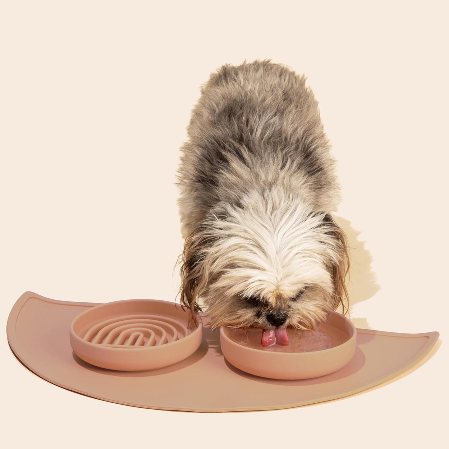 Should We Go? Slow Feeder for Dogs & Puppies, The Slowdown Bowl Silicone Slow Eating, Modern Lick Mat Design, Reduces Gulping, Fits 2 Cups, 7.5” Across x 1.5” Tall, Mealtime Challenge, Medium-Blush