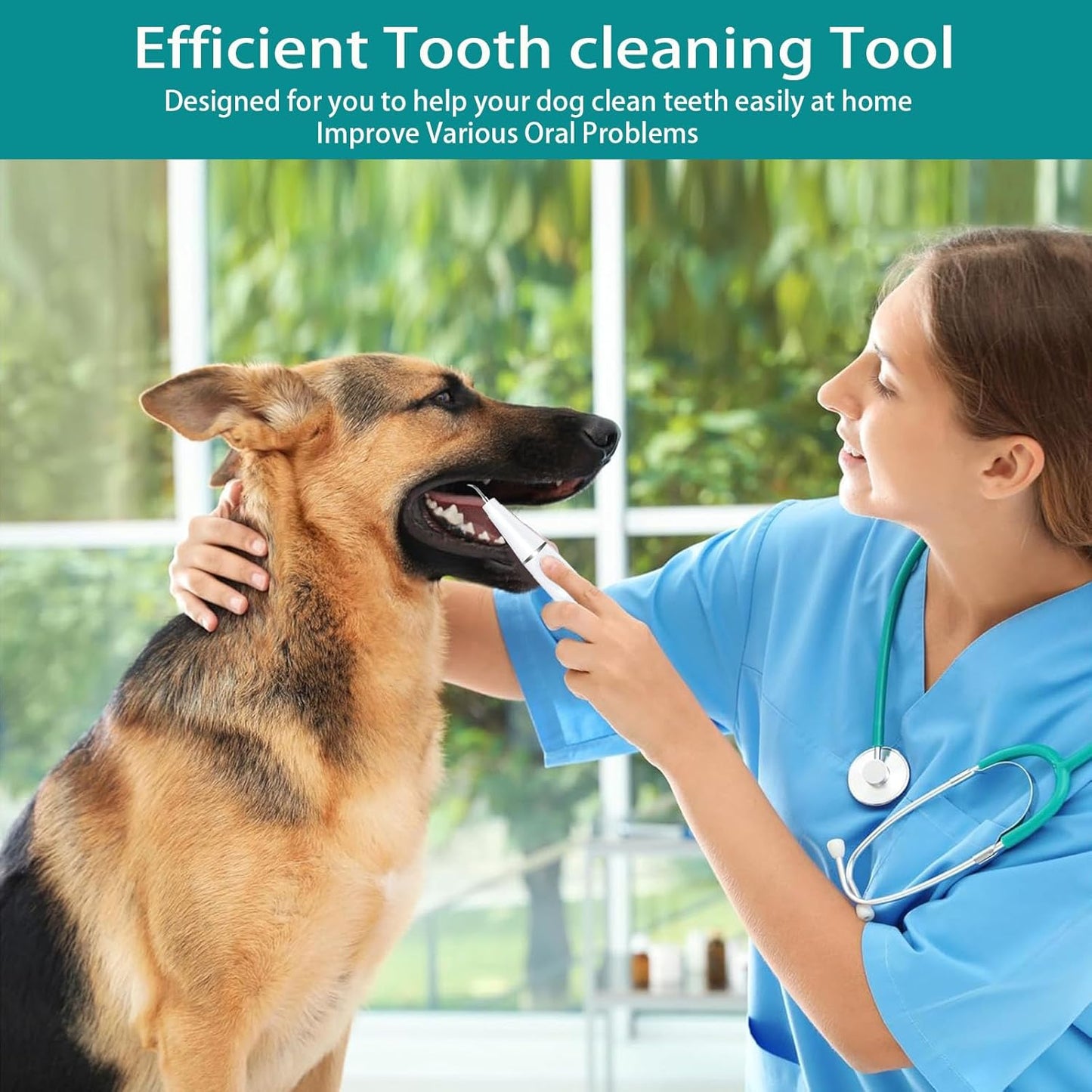 Plaque Remover for Teeth, Pet Ultrasonic Cleaner, Dog Plaque and Tartar Remover with LED Light, Dog Teeth Cleaning Dental Care Kit for Tartar and Stains, Suitable for Dogs and Cats (Black)