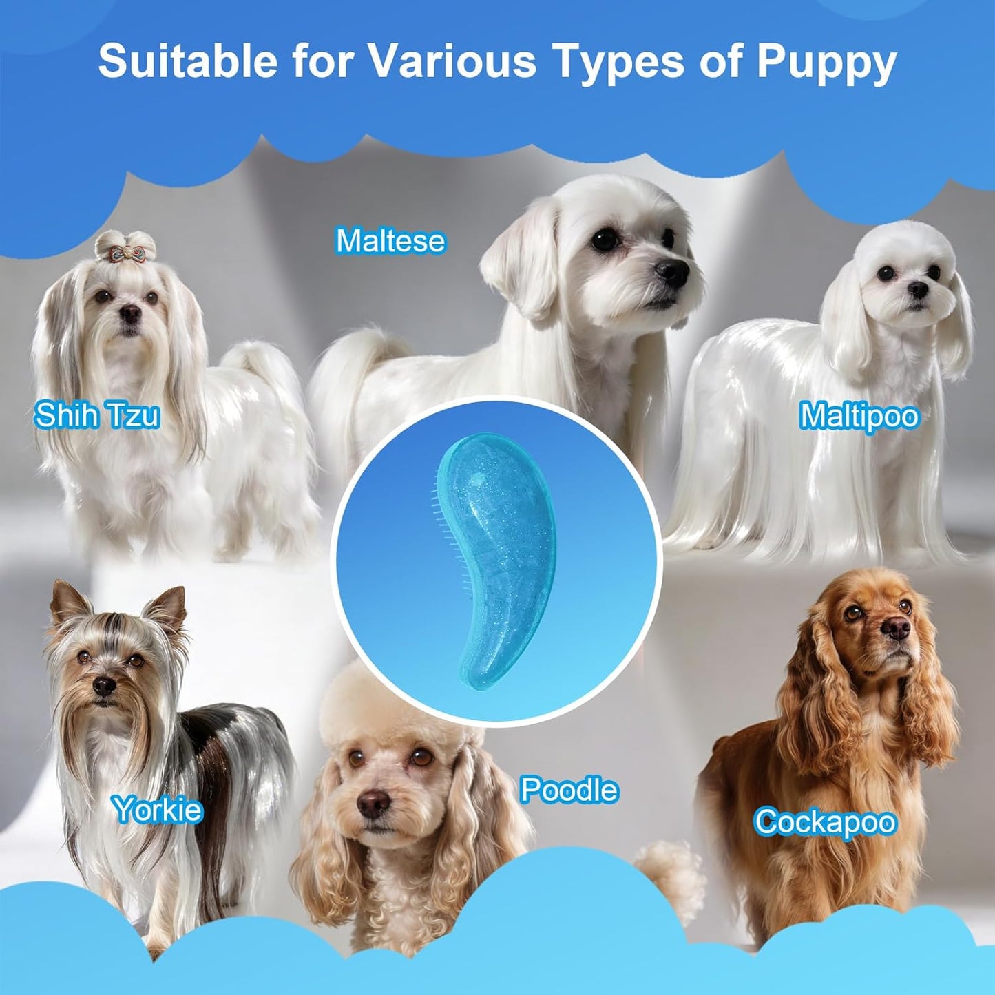 Small Dog Brush- Grooming Tool for Teddy, Yorkies, Maltese, Shih Tzu, Chihuahua - Puppy Hair Brush (Blue)