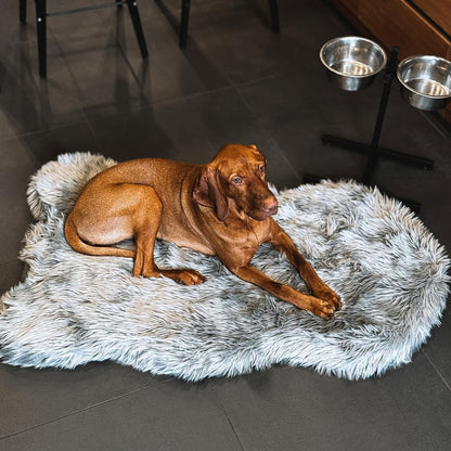 IHAPPYDOG Luxury Faux Fur Orthopedic Dog Bed, Memory Foam Dog Bed for Small, Medium, Large and XL Pets, Fluffy Pet Bed with Waterproof and Washable Cover (White w/Brown Tips, 50"x30")