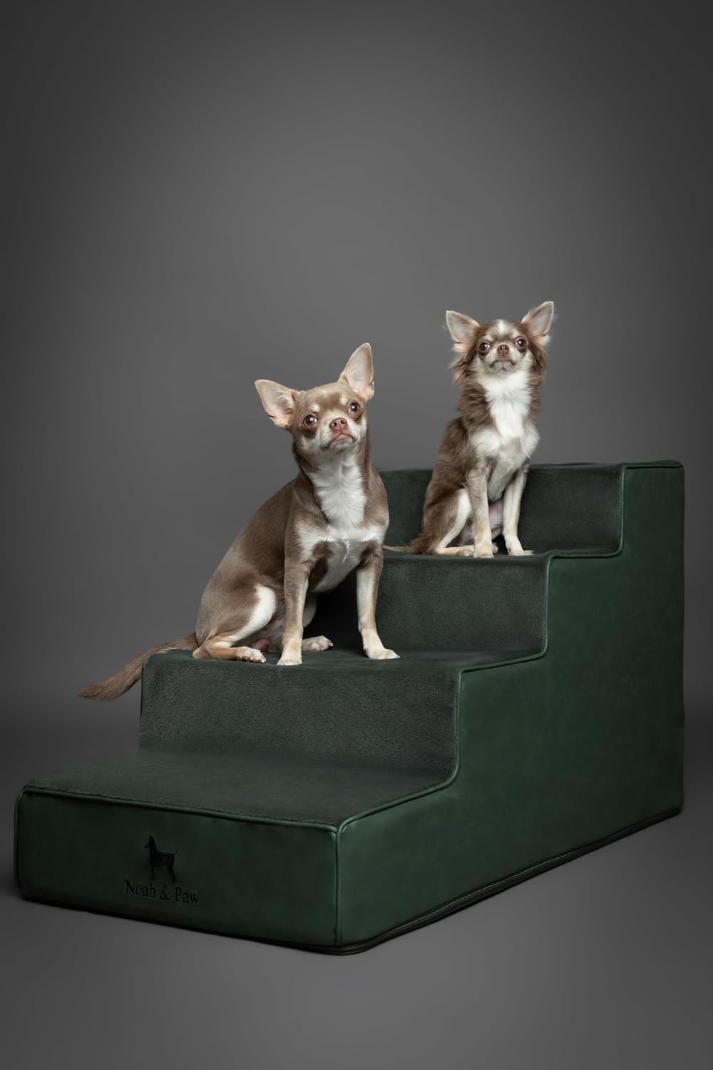 Noah & Paw Dog Stairs, Dog Ramp for Bed (20" Extra Wide) Pet Stairs for High Bed, Design to Fit Small and Large Breeds, Durable 5 Pet Steps for Couch (35 Foam Density) Leather Collection
