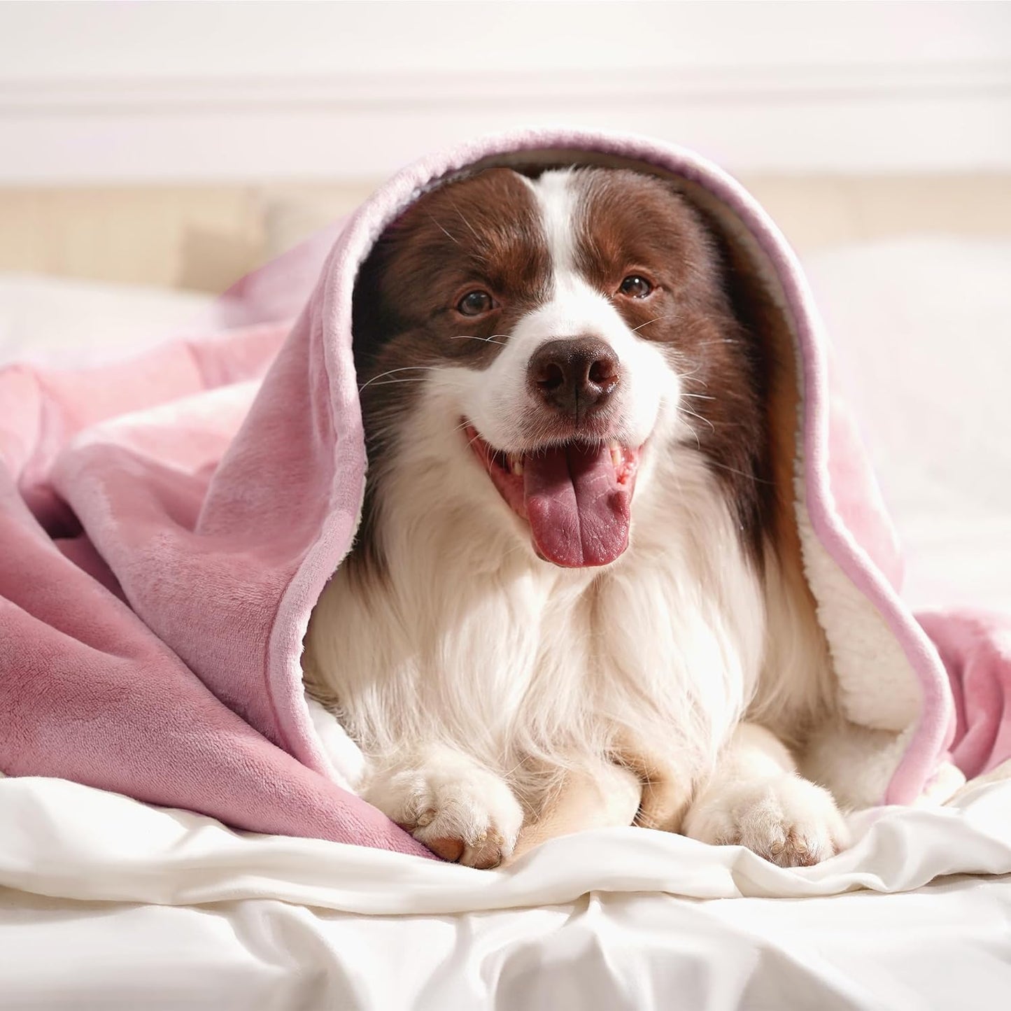 gogobunny Waterproof Blanket for Bed Couch Sofa, Liquid Pee and Fur Proof Pet Blanket for Dog Puppy Cat, Reversible Sherpa Fleece Throw Blanket Furniture Cover Protector (Grey, 50x60 inches)