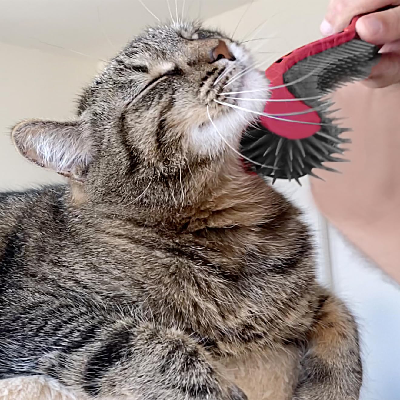 Cat Brush, Blue. Designed for Comfort, Created for Cats and Dogs. Ergonomic shape promotes stress free grooming. Great for long to short haired cats. Made in the USA.