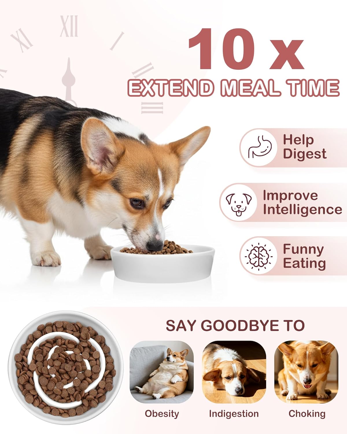 TRUVIC Ceramic Slow Feeder Dog Bowls Small Breed, 0.6 Cup Slow Feeder Cat Bowls for Fast Eaters, Ceramic Dog Food Dish no Black Chin, Puzzle Bowl for Small Dogs and Cats, White