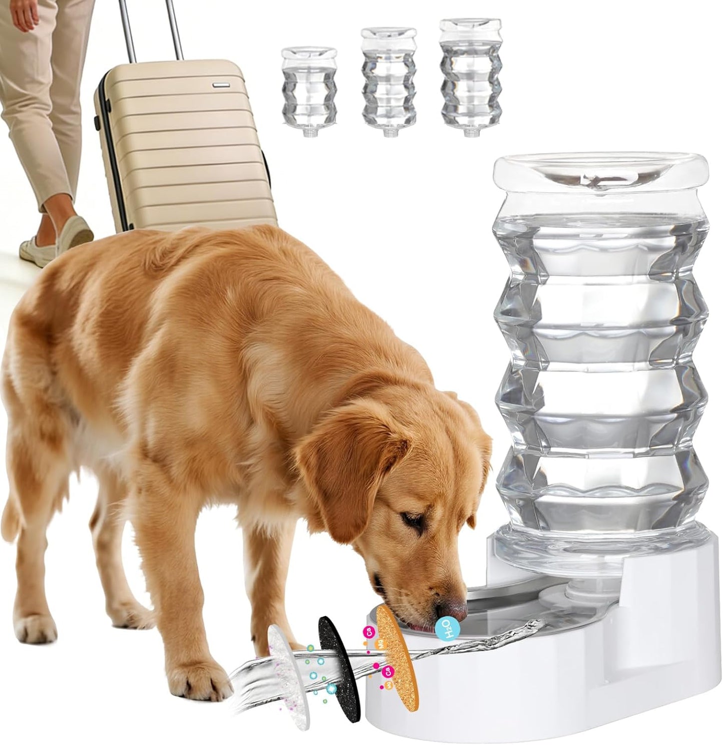 RIZZARI 8L Elevated Pet Water Dispenser – Stainless Steel Gravity Waterer with Auto-Refill Design for Medium and Large Dogs & Senior Pets -Comfortable Drinking Height for Living Rooms,Multi-Pet Homes