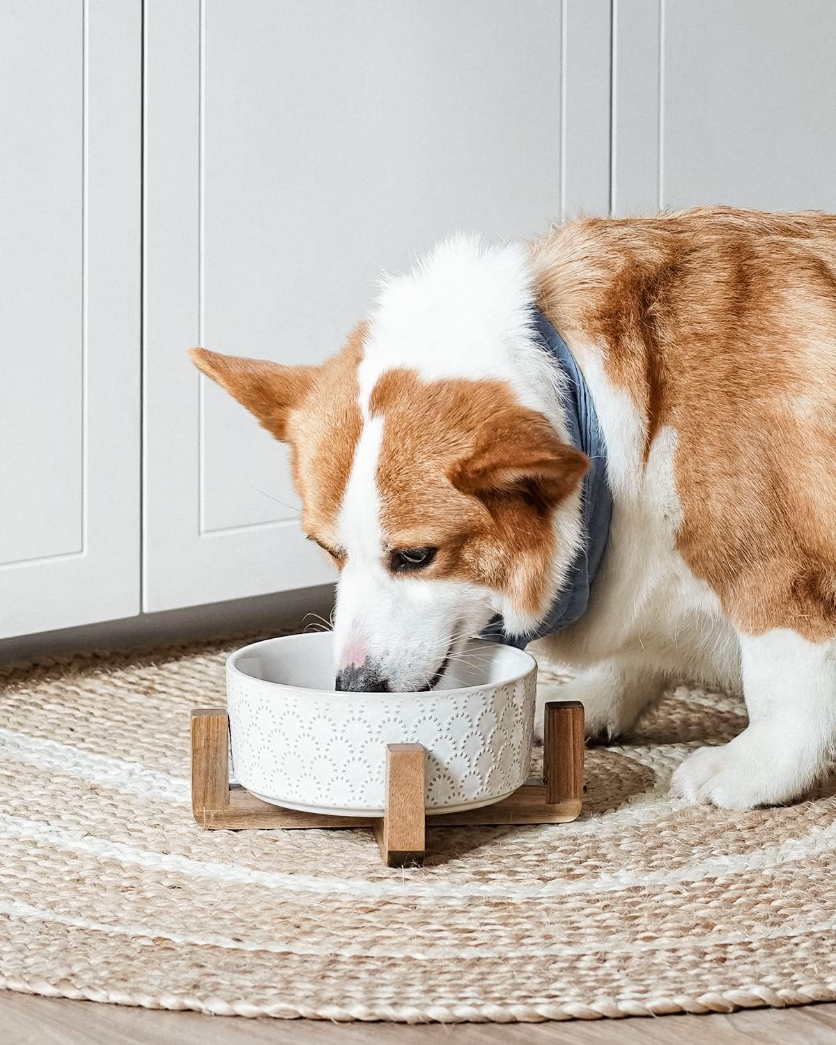 LE TAUCI Dog Bowl Set with Acacia Wood Stand - 1.5-Cup Ceramic Puppy Bowls for Small Dogs, Dual Food and Water Bowls with Weighted Non-Slip Base