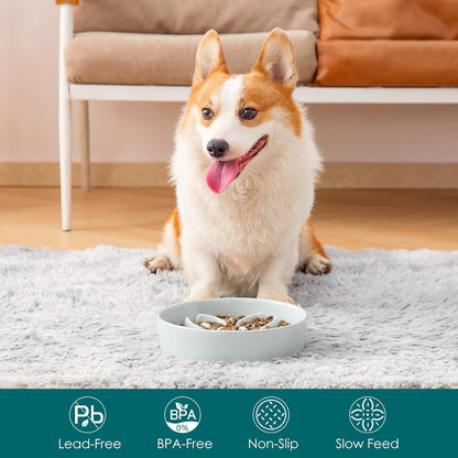 vancasso Ceramic Slow Feeder Dog Bowls, Puzzle Dog Food Bowls with Floral Maze, Anti -Slip Pet Food Dish for Small Breed, 0.6 Cups, Pink