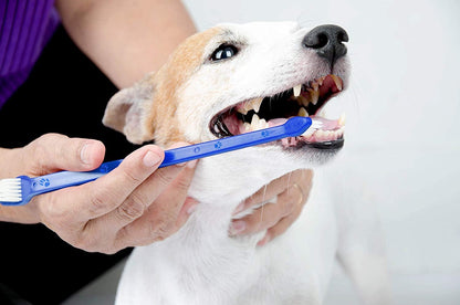 Pets First Softest Bristle Dog Toothbrush Extra Large Long Double Sided for Small & Large Teeth - Set of 2
