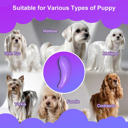 Small Dog Brush- Grooming Tool for Teddy, Yorkies, Maltese, Shih Tzu, Chihuahua - Puppy Hair Brush (Blue)