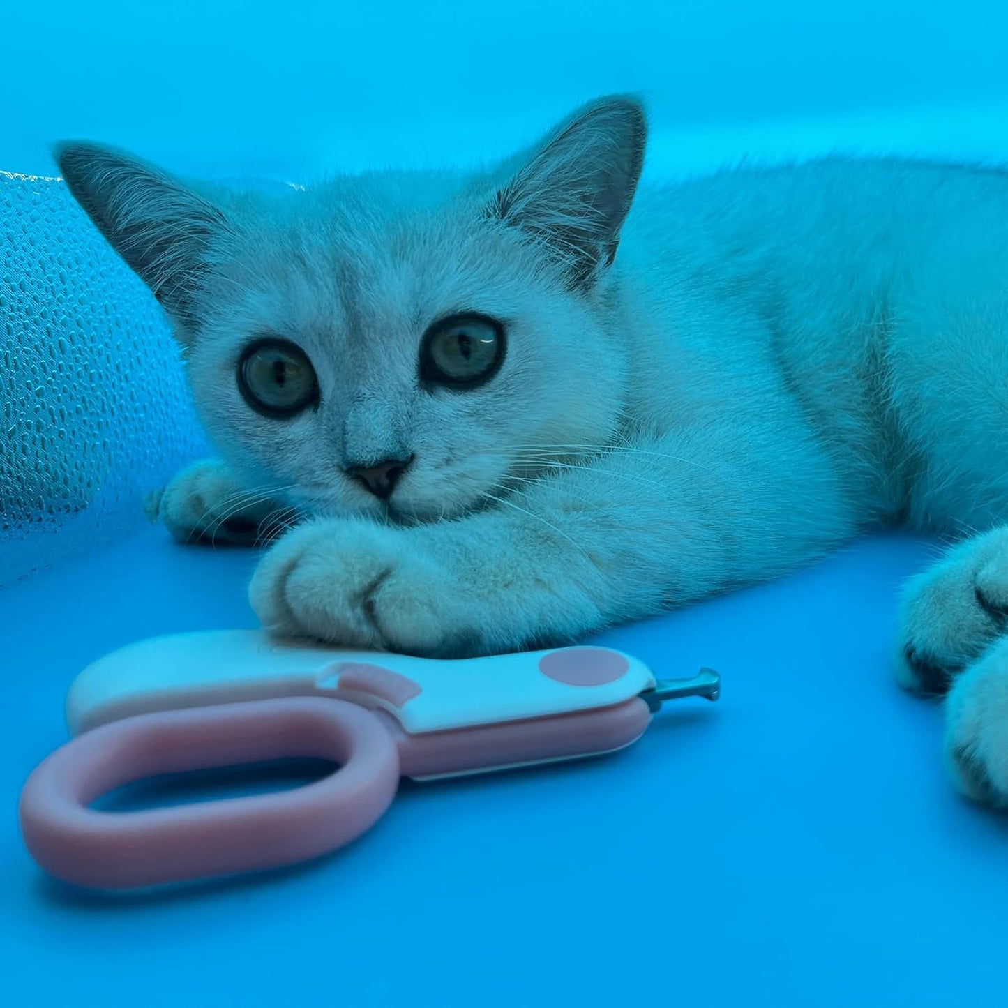 Small Animals Nail Clippers with LED Lights to Avoid Excessive Cutting and Razor Sharp Blades - Professional Claw Trimmer for Tiny Dog Cat Kitten Bunny Rabbit Bird Guinea Pigs Ferret Hamsters (Pink)