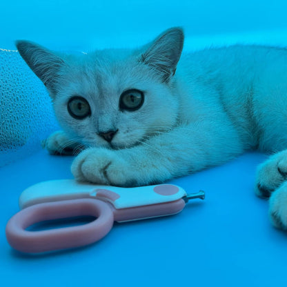 Small Animals Nail Clippers with LED Lights to Avoid Excessive Cutting and Razor Sharp Blades - Professional Claw Trimmer for Tiny Dog Cat Kitten Bunny Rabbit Bird Guinea Pigs Ferret Hamsters (Pink)