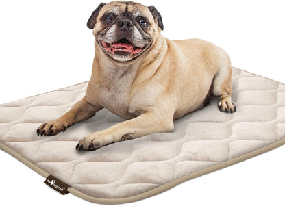 Paw Inspired Washable Padded Crate Mats for Dogs | 29” x 18” Pad, Fits 30-inch Kennels | Leakproof, Waterproof Bottom, Plush Pet Beds (Gray)