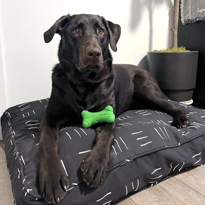 Molly Mutt Medium to Large Dog Bed Cover- Forever Young Print - Measures 27”X36”X5’’ - 100% Cotton - Durable - Breathable - Sustainable - Machine Washable Dog Bed Cover (Dd82b)