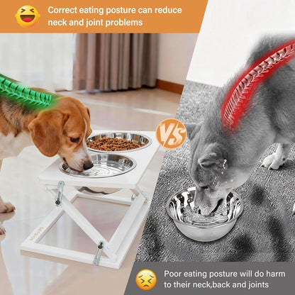 Elevated Dog Bowls, Adjustable Raised Dog Bowl Stand with 2 Stainless Steel Food Bowls 20°Tilted Water Bowls for Medium Small Sized Dogs (Black, Medium)