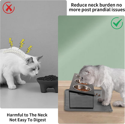 Upgraded Elevated Cat Bowls with Food Mat,15°Tilted Stand Anti Vomiting Raised Cat Dishes for Food and Water,2 Stainless Steel Bowls for Cats and Puppy
