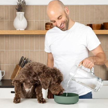 Should We Go? Dog Water Bowl - The Perfect Dish No-Spill, Less Mess Non-Tippable Water & Food Bowl, Pure Silicone with Suction Cup Fits 5 Cups 7.5" Across x 2.25" Tall, Ideal for All Pets, Medium-Sage