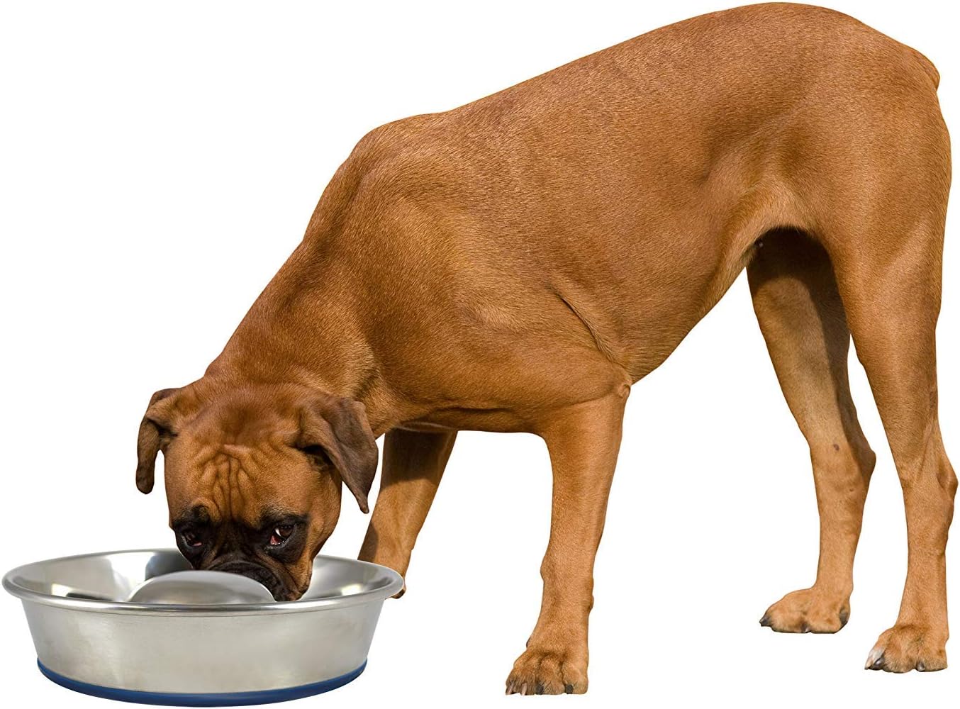 OurPet's DuraPet Slow Feed Premium Stainless Steel Dog Bowl, Silver (2040010301)