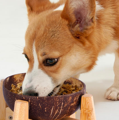 Elevated Slow Feeder Dog Bowls Large Breed - (12-inch-high) - Raised Bowl with Anti-Choking Insert - Stainless Metal and Bamboo