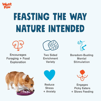 West Paw Seaflex Bubbles Feast Mat – All-in-One, Slow Feeder, Lick Mat – Encourages Foraging & Food Exploration - Engages Picky Eaters & Slow Feeding - Versatile – Easy to Clean, Non-Toxic - Tropic